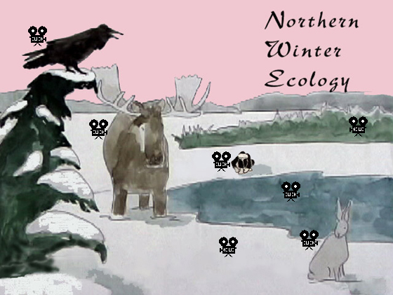 Image Map - click to see the movies