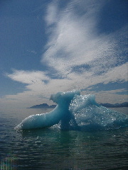 IMG_0767.JPG