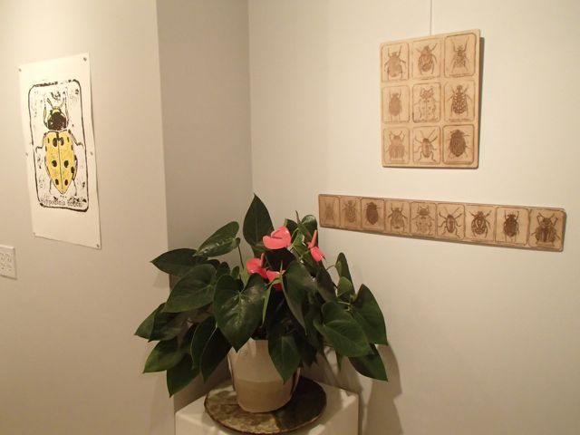 PB030056