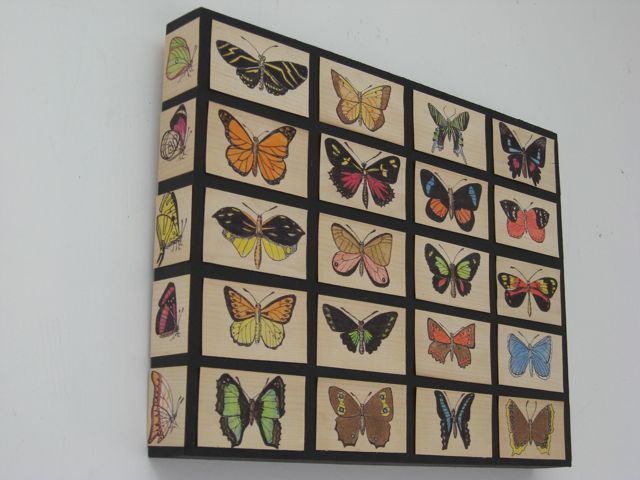 Specimens