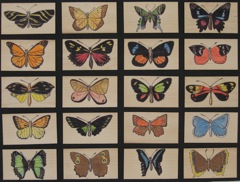 Specimens