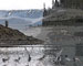 Plovers & Atlin Lake